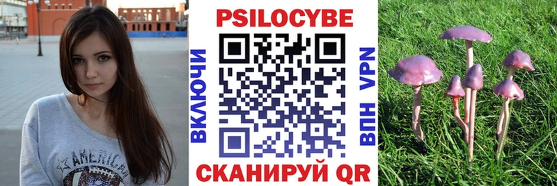 Псилоцибиновые грибы GOLDEN TEACHER как найти наркотики Барыш